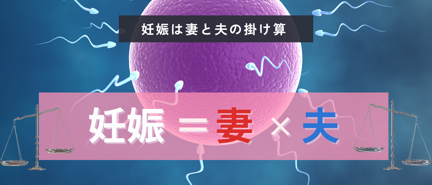 【不妊治療】妊娠は男性と女性によって決定する
