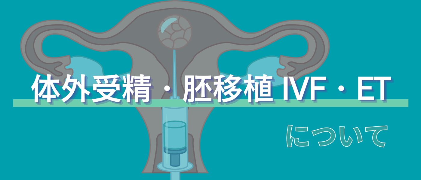 【不妊治療】体外受精_胚移植_IVF_ET_解説