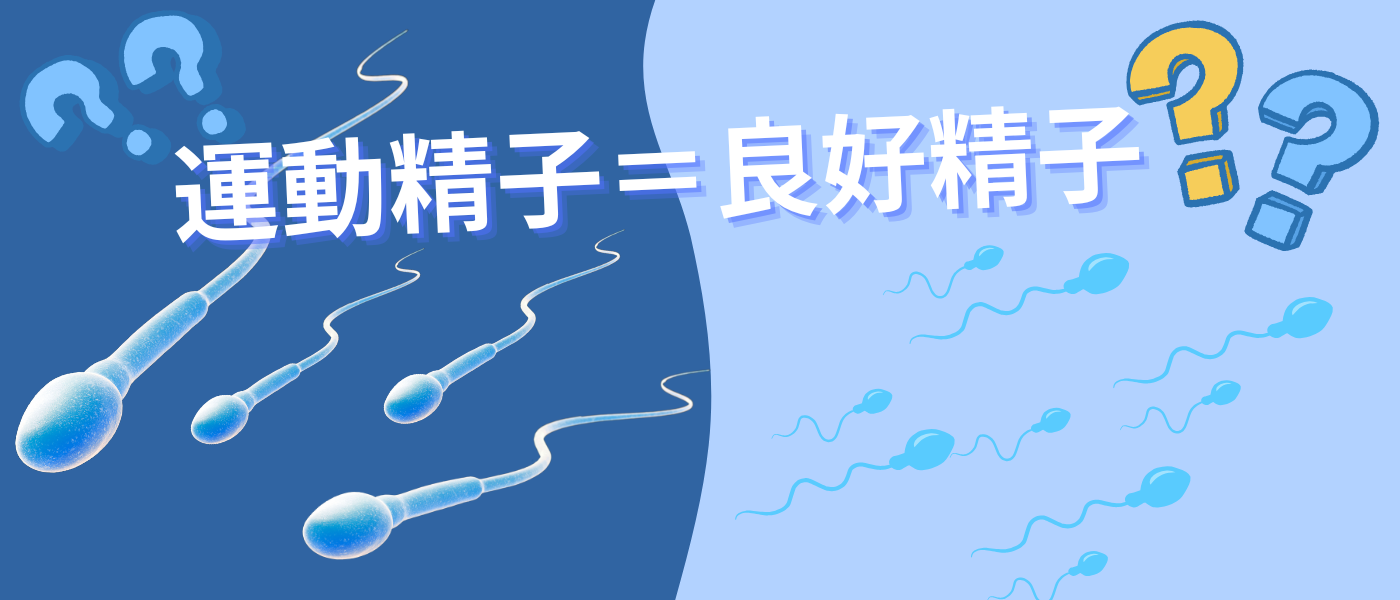【不妊治療】運動精子＝良好精子？_本当に妊孕性がある精子