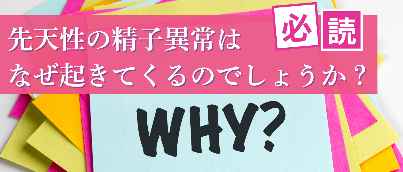 【不妊治療】先天性の精子異常が起きる原因を解説
