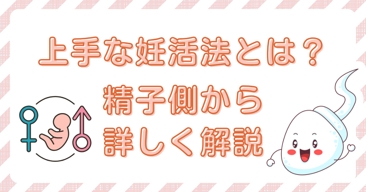 【不妊治療】上手な妊活法について精子側から解説