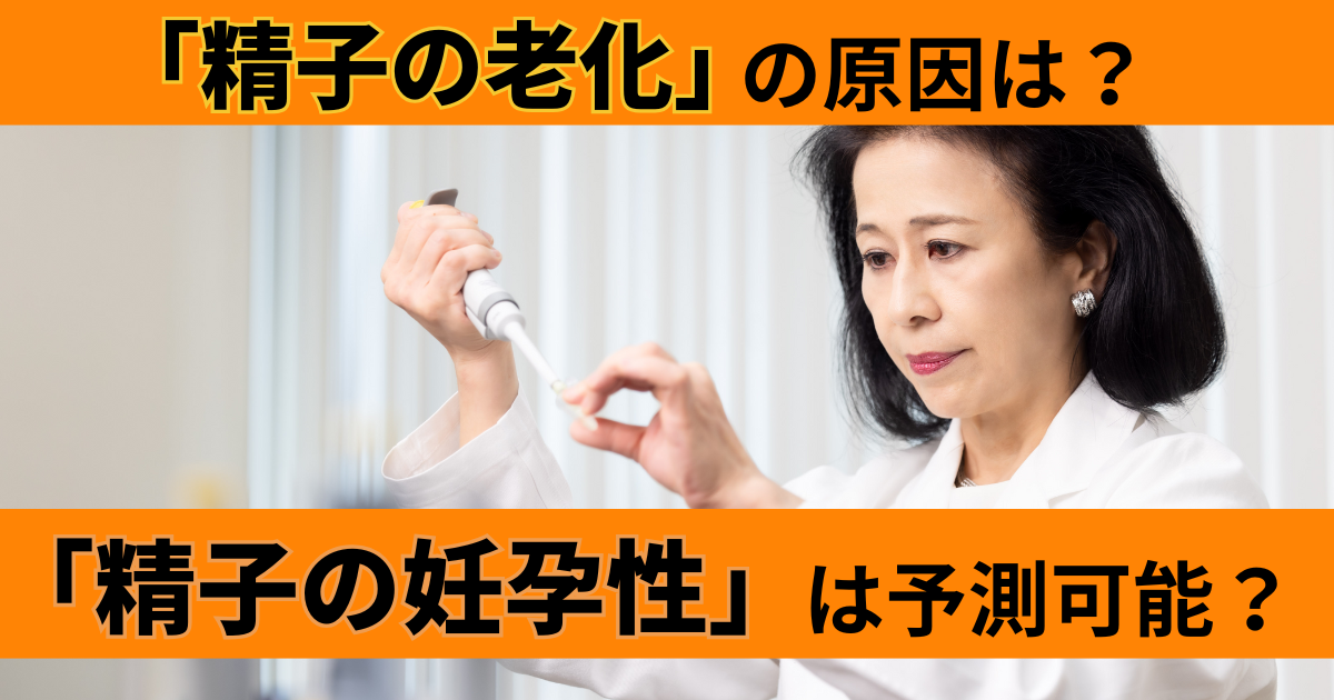 【不妊治療】精子の老化と精子の妊孕性について解説