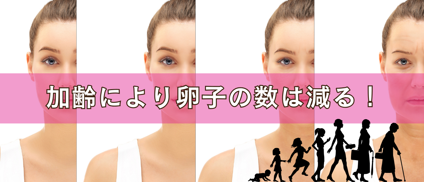 【不妊治療】加齢によって卵子の数は減る、減少する