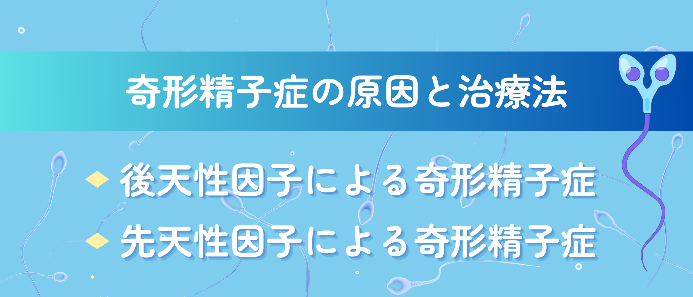 【不妊治療】奇形精子症の原因と治療法解説