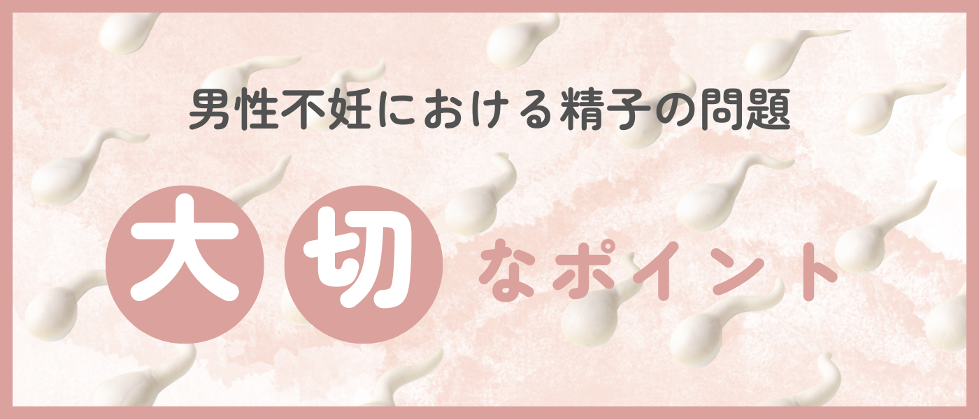 【不妊治療】男性不妊における精子の大切なポイント