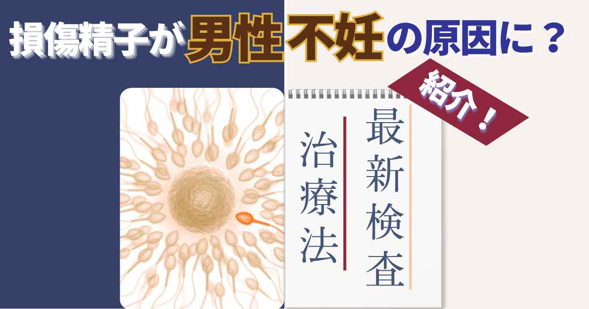 【不妊治療】損傷精子が男性不妊の原因に？最新検査と治療法の解説