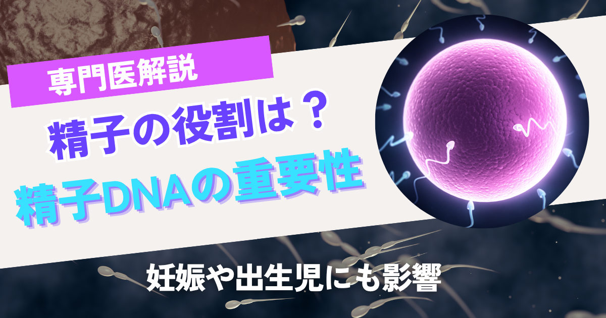 【不妊治療】精子の役割、妊娠や出生児にも影響する精子DNAの重要性について専門医が解説