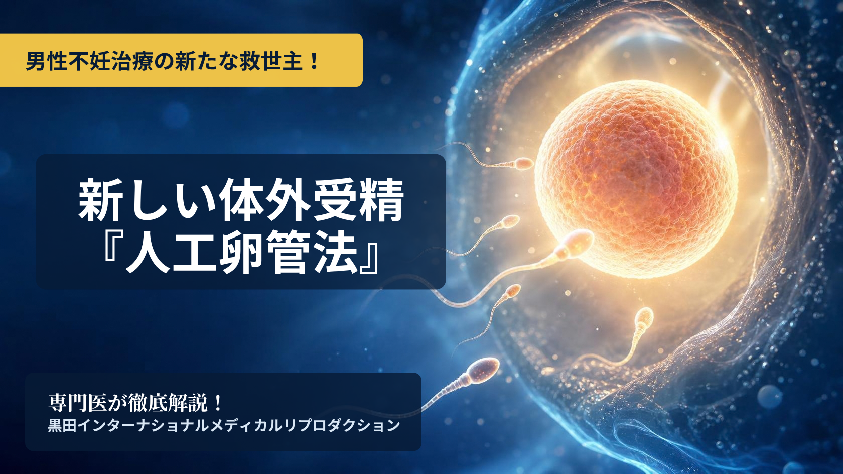 新しい体外受精「人工卵管法」について