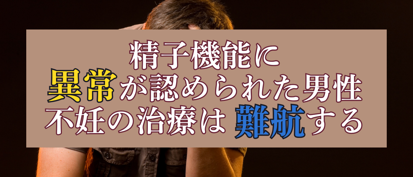 精子異常は男性不妊で難航する