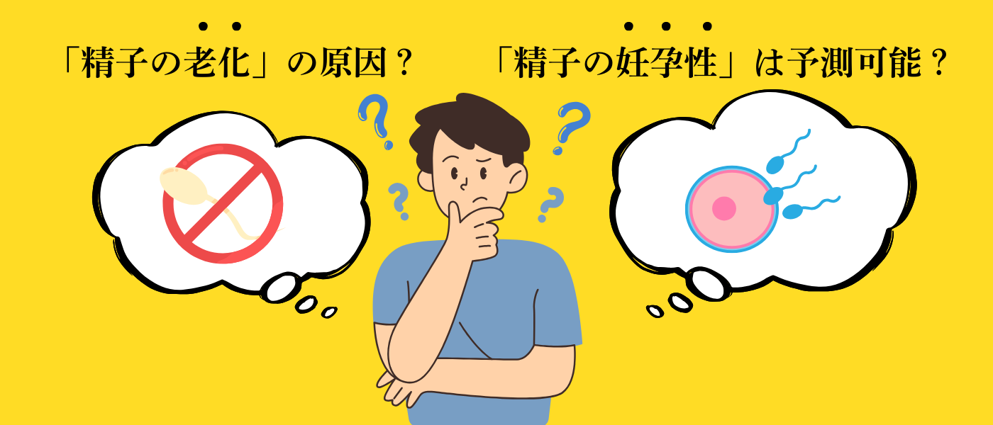 精子の老化について、精子の妊孕性は予測可能か